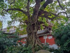 -三苏祠