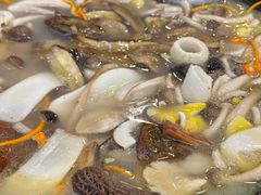 -草墩罗非鱼庄•野生菌•腊排骨(七星街上段店)