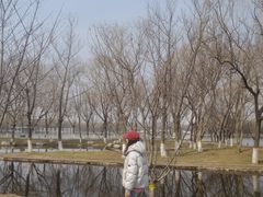 -石家庄市植物园