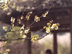-无锡梅园公园