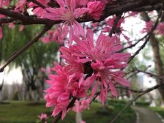 -江阴敔山湖公园