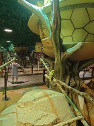 -酷嗒动物文化乐园(cutezoo西溪乐天城店)