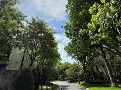 -天悦阁海景酒廊