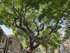 -均和墟历史街区-平和大押