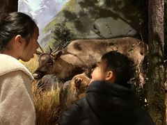 -陕西自然博物馆