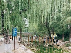 -祥源·阜阳生态乐园