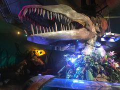 -悉尼海洋生物水族馆