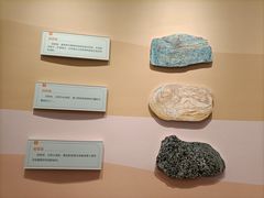 -陕西自然博物馆