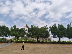 -风云岭森林公园