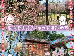 -观澜湖生态运动公社