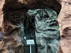 -陕西自然博物馆