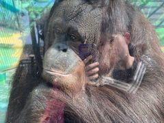 -泉州海丝野生动物世界