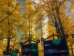 -重庆市江北嘴中央商务区中央公园