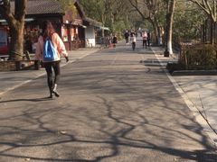 -苏堤停车场