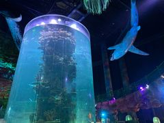 -青岛嘉年华主题乐园