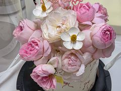 -Miss Q Family甜品·蛋糕·法甜咖啡