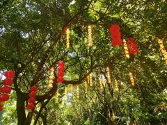 -星湖旅游景区七星岩