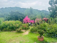-东莞观音山旅游风景区