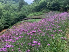 -阿哈湖国家湿地公园
