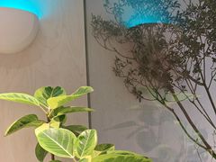 -喜茶(珠海华发商都店)