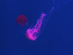 -沈阳海洋探索中心