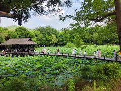 -兰亭风景区