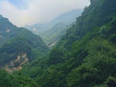 -陕西省红河谷森林公园
