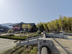 -大唐贡茶院