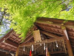 -野宫神社