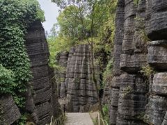 -梭布垭石林景区