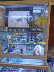 -婴贝儿(山东青年创业社区店)