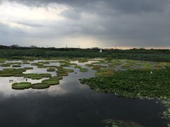 -雨花胜境
