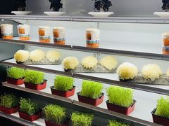 -番食园鲜食火锅(高新店)