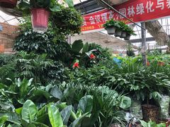 -秦美花卉(天朗·莱茵小城2期店)