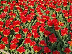 -玄武湖景区-情侣园游乐场