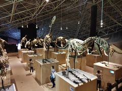 -世界恐龙谷景区