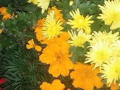 iphone_upload_pic-迎泽公园