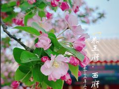-恭王府博物馆