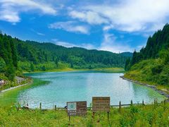 -武陵山森林公园