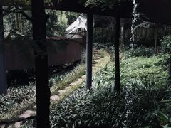-青城山
