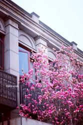 -北京大学第一医院妇产儿童医院
