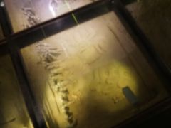 -汉景帝阳陵博物院