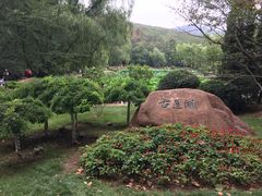 -棒棰岛宾馆景区