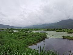 -腾冲北海湿地