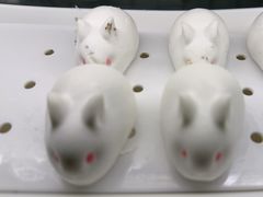 -千滋百味自助海鲜烤肉(布吉景华店)