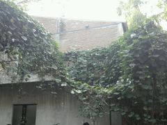 android_upload_pic-莓园冰淇淋店