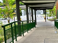 -新加坡植物园
