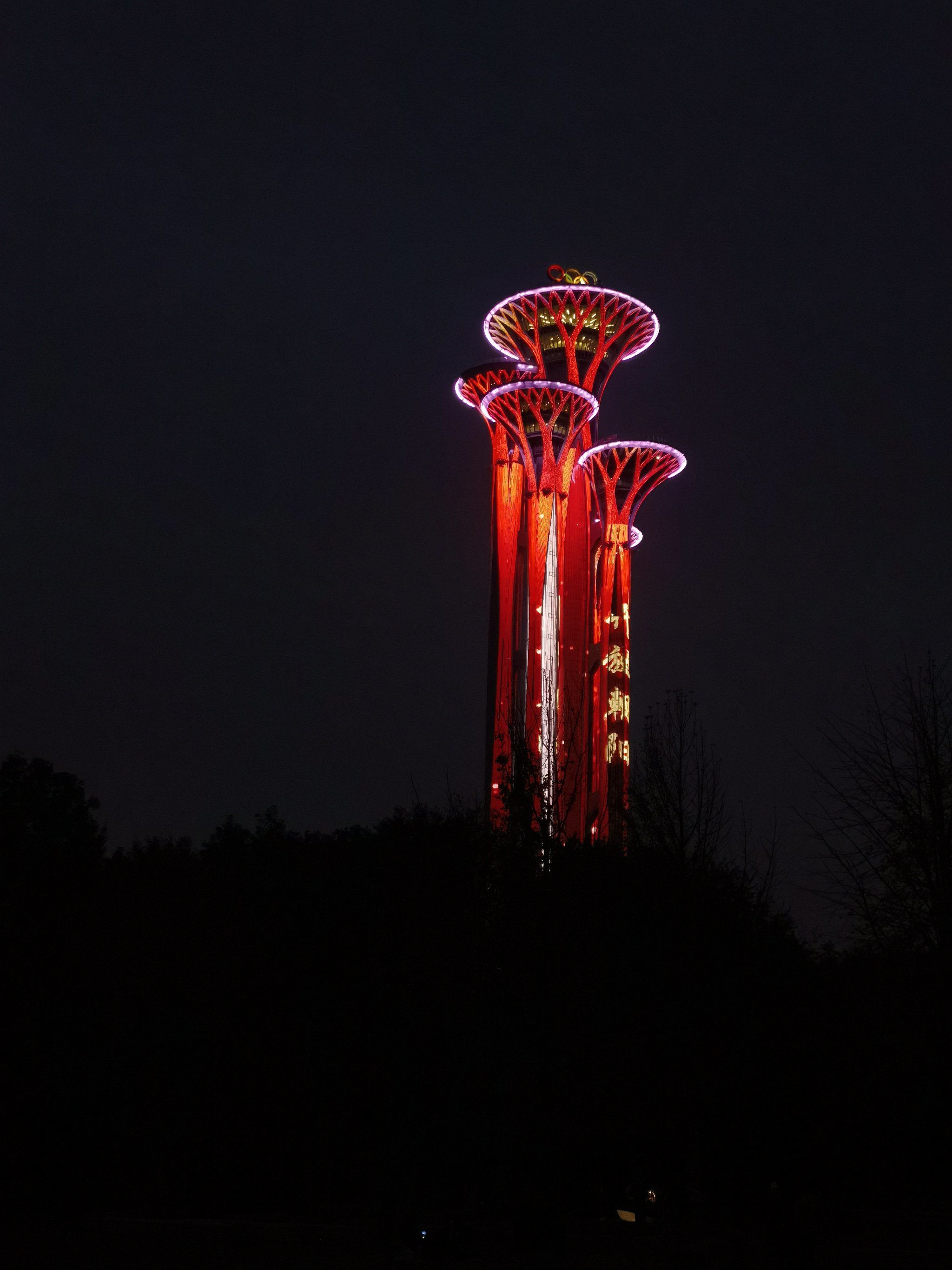 奥运塔的夜景
