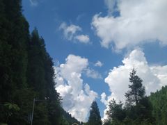 -武陵山森林公园