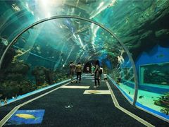 -成都浩海立方海洋公园
